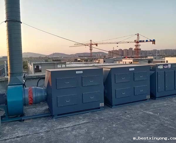 活性炭吸附净化系统 (2)