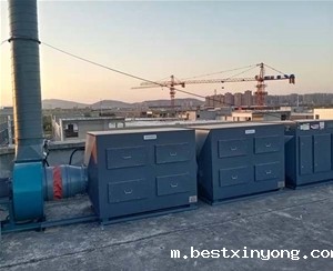 活性炭吸附净化系统 (2)