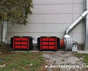 活性炭吸附净化系统 (1)